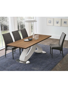 ECLIPSE RETTANGOLARE 2