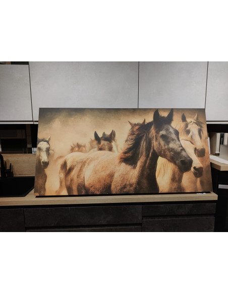 QUADRO "CORSA DEI CAVALLI"